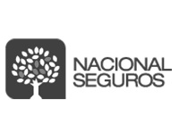 NS logo